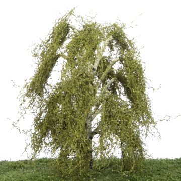 Silhouette Hangberk - Lente - 0 (< ca. 8cm) (211-61)