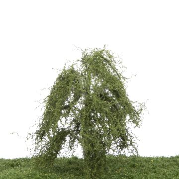 Silhouette Hangberk - Zomer - 12-16cm (211-42)