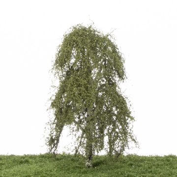 Silhouette Hangberk - Zomer - 0 (< ca. 8cm) (211-62)