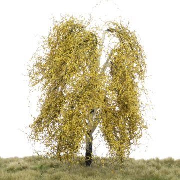 Silhouette Hangberk - Late herfst - 0 (< ca. 8cm) (211-64)