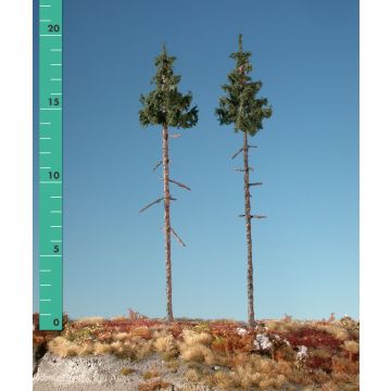 Silhouette Binnen bos groene spar - Zomer - 2 (ca. 15-20cm) - H0 / TT (275-22)