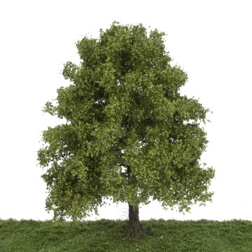 Silhouette Kastanje - Vroege herfst - 30-34cm (391-002-3)