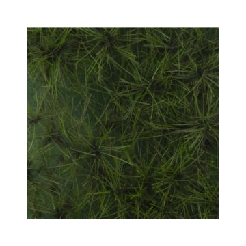 Silhouette Grove den naalden - Zomer - ca. 27x16,5cm - 1:45+ (970-32)