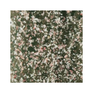 Silhouette Kersenboom bloesem - Lente - ca. 27x16,5cm - H0 / TT (927-21)