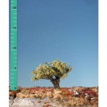 Silhouette Knotwilg - Vroege herfst - 0 (< ca. 8cm) (241-03)