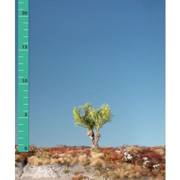 Silhouette Knotwilg - Lente - 0 (< ca. 8cm) (241-01)