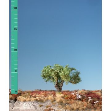 Silhouette Knotwilg - Zomer - 0 (< ca. 8cm) (241-02)