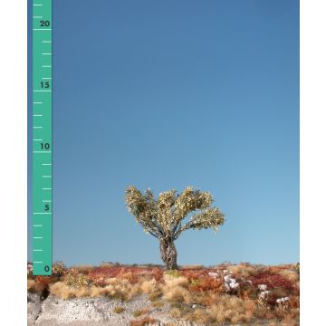 Silhouette Knotwilg - Late herfst - 0 (< ca. 8cm) (241-04)