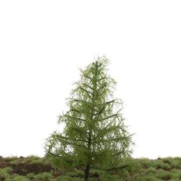 Silhouette Lariks - Zomer - 12-16cm (279-42)