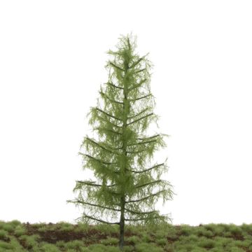 Silhouette Lariks - Zomer - 17-22cm (279-52)