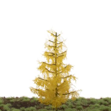 Silhouette Lariks - Late herfst - 12-16cm (279-44)