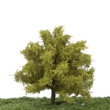 Silhouette Linde - Lente - 2 (ca. 15-20cm) - H0 / TT (242-21)