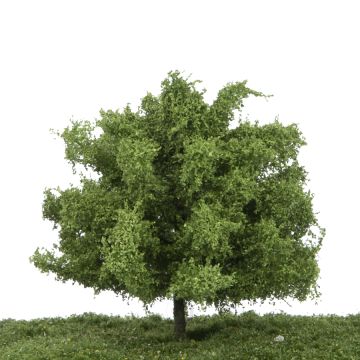 Silhouette Linde - Zomer - 0 (< ca. 8cm) (242-02)