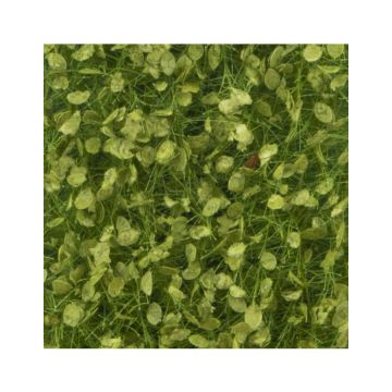 Silhouette Lindenloof - Lente - ca. 50 x31,5 cm - 1:45+ (942-31H)