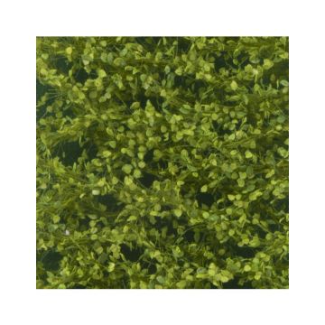 Silhouette Populierenloof - Lente - ca. 27x16,5cm - H0 / TT (913-21)