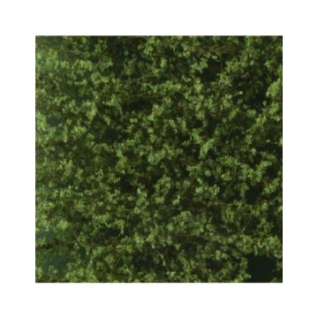 Silhouette Populierenloof - Zomer - ca. 27x16,5cm - N / Z (913-12)