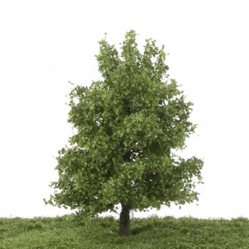 Silhouette Plataan - Zomer - 0 (< ca. 8cm) (233-62)