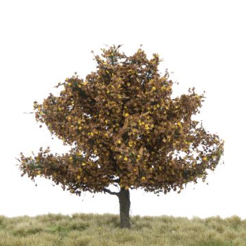 Silhouette Plataan - Late herfst - 12-16cm (233-44)