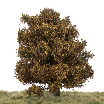 Silhouette Plataan - Late herfst - 0 (< ca. 8cm) (233-64)