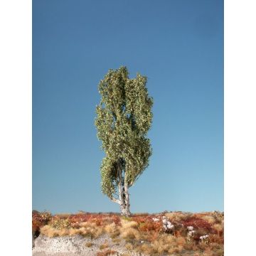 Silhouette Italiaanse populier - Vroege herfst - 0 (< ca. 8cm) (113-03)