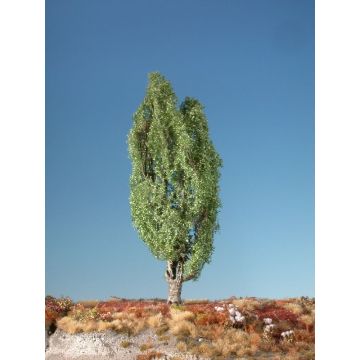 Silhouette Italiaanse populier - Zomer - 0 (< ca. 8cm) (113-02)