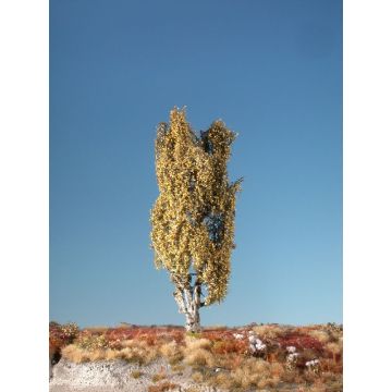 Silhouette Italiaanse populier - Late herfst - 0 (< ca. 8cm) (113-04)