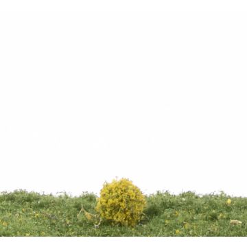 Silhouette Rhododendron - Geel - ca. 2cm - H0 / TT (253-12)