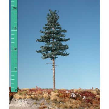 Silhouette Nordic spar hoge stam - Zomer - ca. 65cm (377-52)