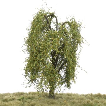 Silhouette Treurwilg - Vroege herfst - 0 (< ca. 8cm) (240-63)