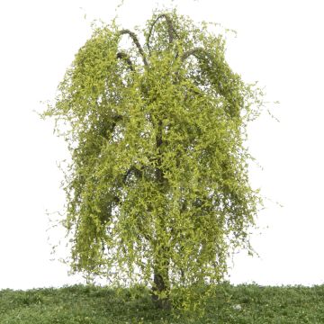 Silhouette Treurwilg - Lente - 0 (< ca. 8cm) (240-61)