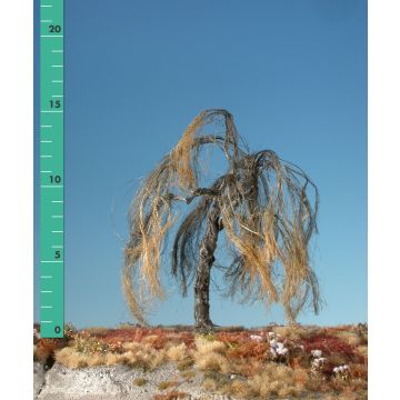 Silhouette Treurwilg - Kaal - 1 (ca. 10-13cm) (240-10)