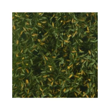 Silhouette Treurwilg loof - Vroege herfst - ca. 63x50cm - H0 / TT (940-23G)