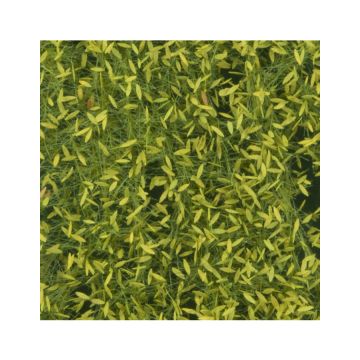 Silhouette Treurwilg loof - Lente - ca. 50x31,5cm - H0 / TT (940-21H)