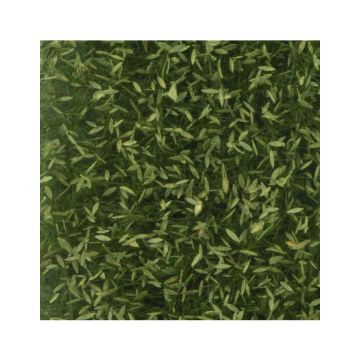 Silhouette Treurwilg loof - Zomer - ca. 27x16,5cm - H0 / TT (940-22)