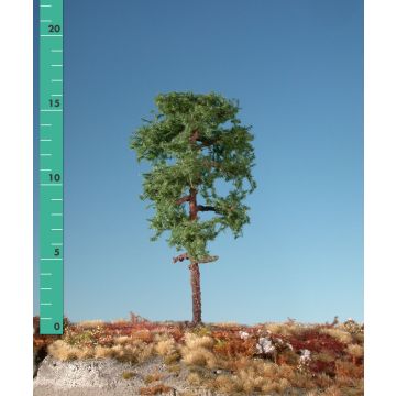 Silhouette Grove Den - Zomer - 1 (ca. 10-13cm) - N / Z (270-12)