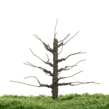 Unique Appelboom - Kale stam - 12-16cm (81-0226-01)