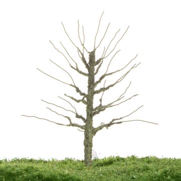 Unique Esp - Kale stam - 12-16cm (81-0215-01)