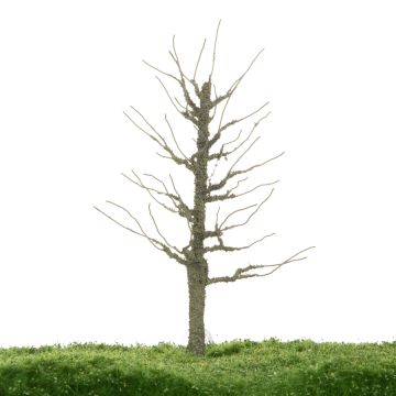 Unique Esp - Kale stam - 17-22cm (81-0215-02)