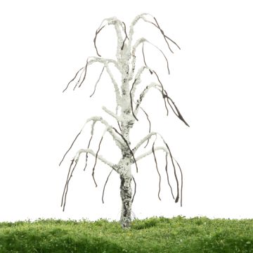 Unique Hangberk - Kale stam - 17-22cm (81-0211-02)
