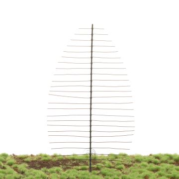 Unique Noorse spar - Kale stam - Bouwpakket - 200 mm (81-0006-02)