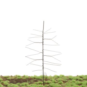 Unique Grove den - Kale stam - Bouwpakket - 135 mm (81-0000-01)