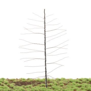 Unique Grove den - Kale stam - Bouwpakket - 200 mm (81-0000-02)