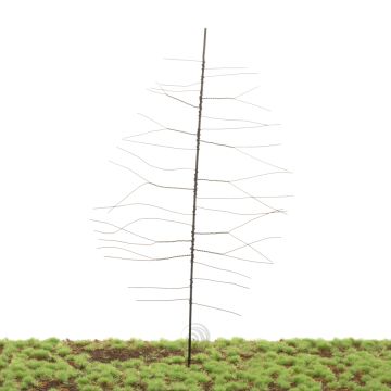 Unique Grove den - Kale stam - Bouwpakket - 260 mm (81-0000-03)